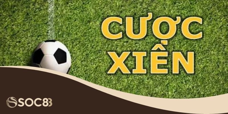 Cược Xiên Bóng Đá - Top Các Mẹo Đặt Cược Hiệu Quả 3 Vận dụng những hiểu biết vào bên ngoài vào cược xiên bóng đá